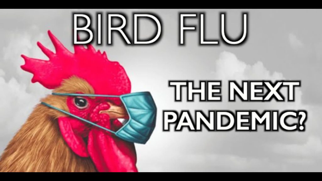 Bird Flu: The Next Big PsyOp To Starve The World