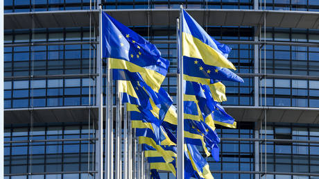 EU member explains why Ukraine accession is unlikely