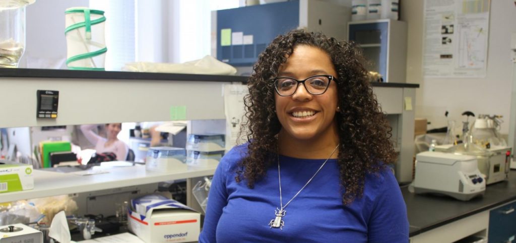 Let’s Just Start Renaming Everything in Order to Confuse People for No Reason