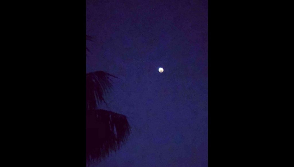 SATIRE – Report: 80% Of iCloud Storage Consists Of Fuzzy Photos Of The Moon