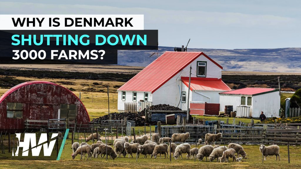 WHY IS THE NETHERLANDS SHUTTING DOWN 3000 FARMS?