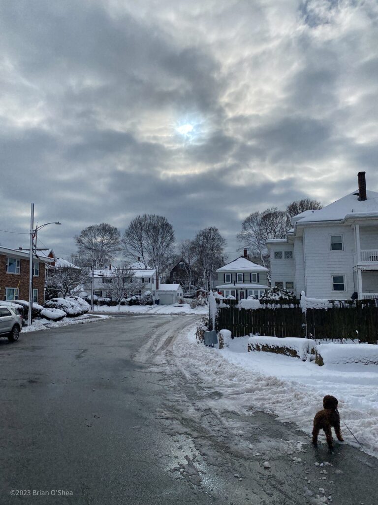 A Fall, and a Puppy in Jeopardy, Reveal Our Ability to Save One Another