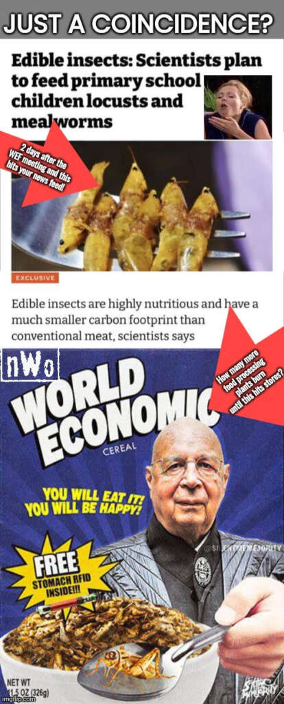 Mike Stone – They’re Serious About Making You Eat Insects