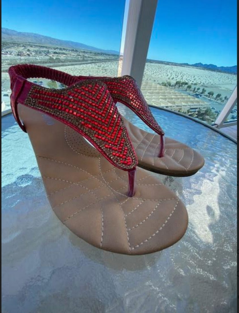 How Not to Become a Sociopath: The “Rest of America” and the Role of Joy