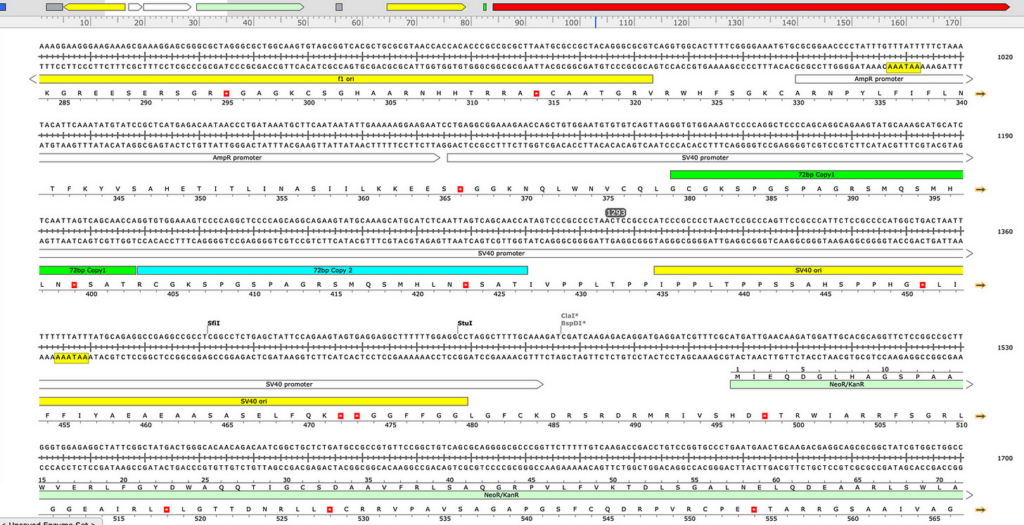 What’s Simian Virus 40 Doing In The Vaccines?