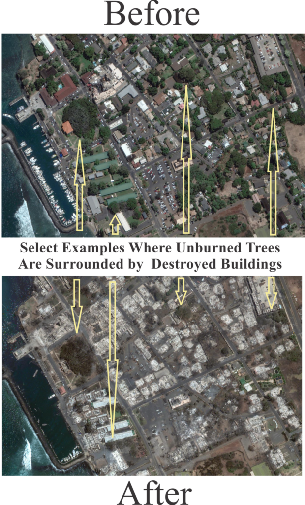 August 12 – Lahaina Was Destroyed by a Directed Energy Weapon