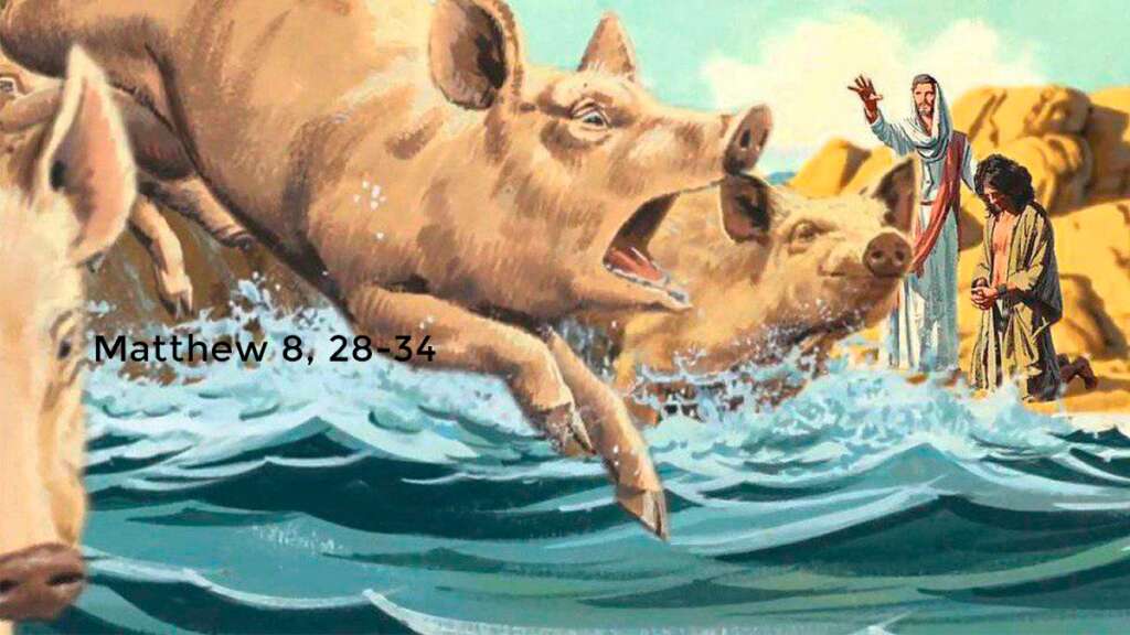 Oct 26 – We are Gadarene Swine