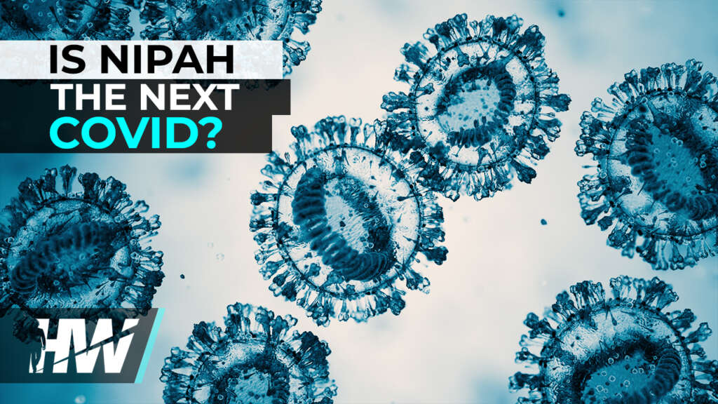 IS NIPAH THE NEXT COVID?