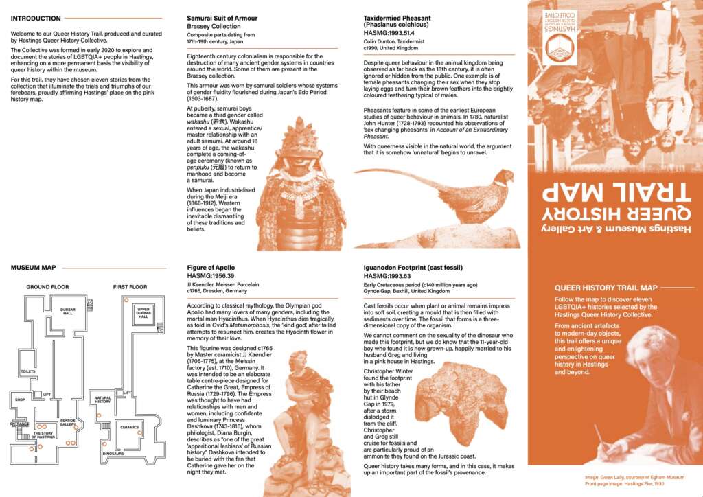 UK: Museum Confirms Our Suspicions –  Pheasants are All Trannies!