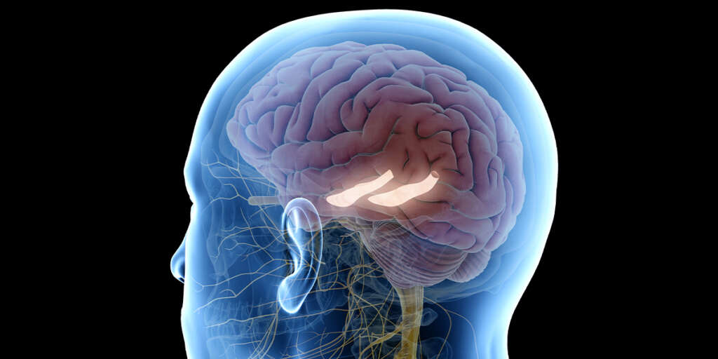 Patrick O’Carroll- The Global War on the Human Brain