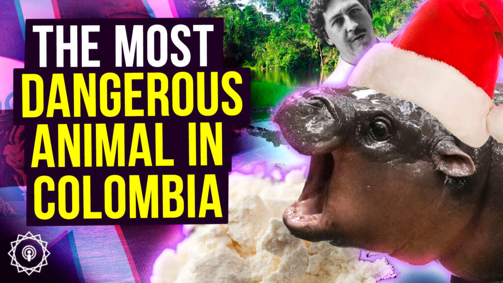 Christmas Pre-Record | Colombia’s Cocaine Hippo Problem