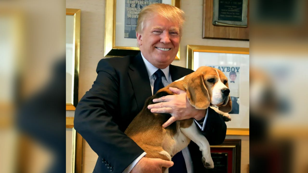 President Trump Protected Defenseless Animals from Government Torture Before, and He Will Do it Again