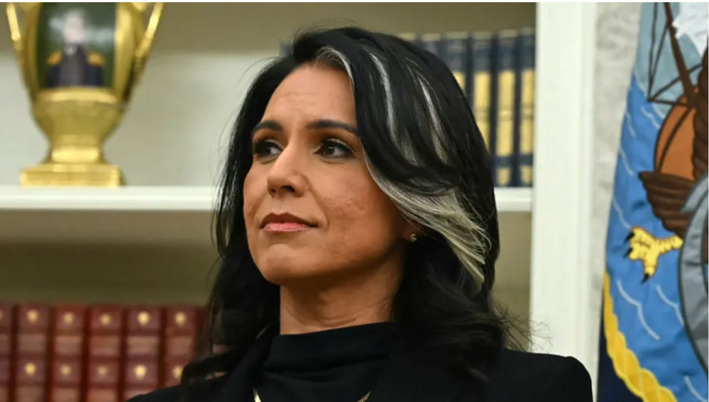 Tulsi Gabbard Fires Pervert Ring from NSA