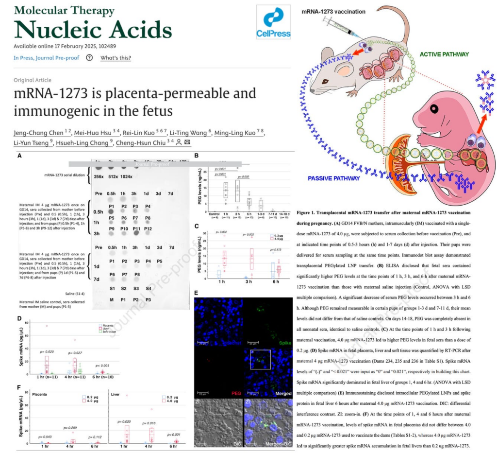 BREAKING – Peer-Reviewed Study Confirms mRNA Injections Cross the Placenta and Reach the Fetus