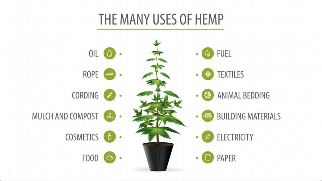 Attention Deep State: Could Hemp Solve Your Climate Crisis?