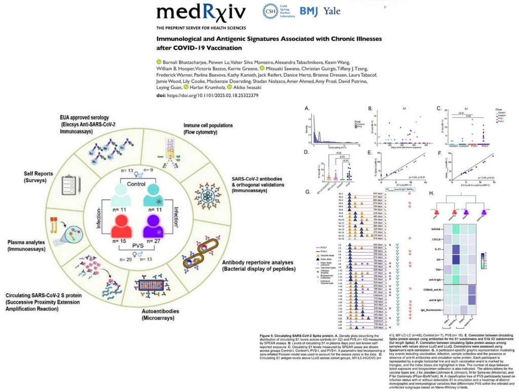 NEW STUDY – Circulating Spike Protein Detectable 709 Days after COVID-19 mRNA Injection