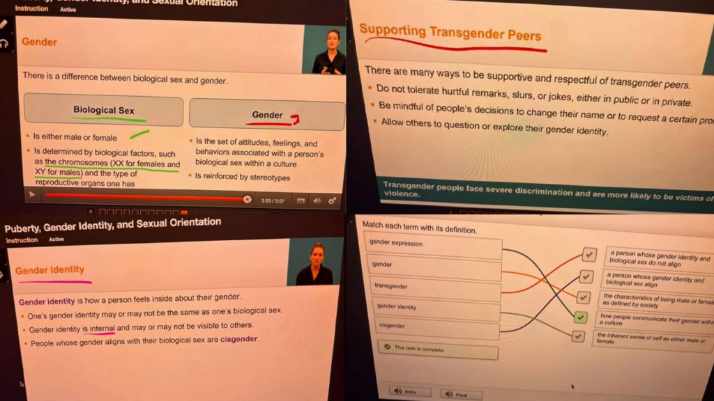 5 Things We Did This Week