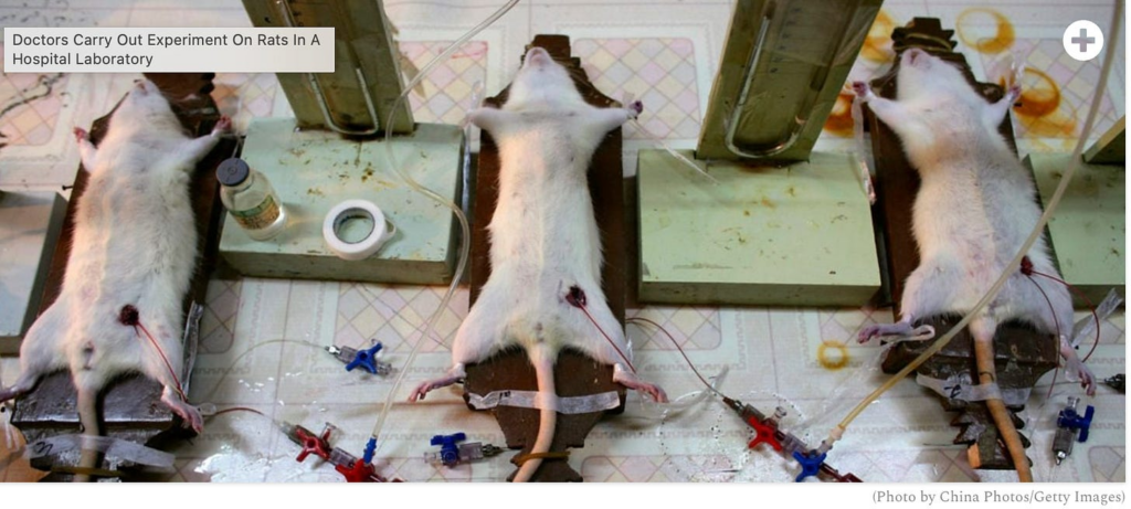 “Yes, Biden Spent Millions on Transgender Animal Experiments”