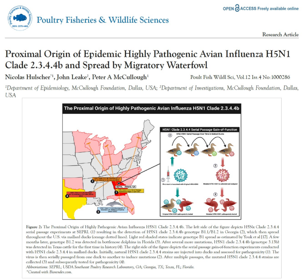 Bird Flu “Foul Play” Exposed on The HighWire