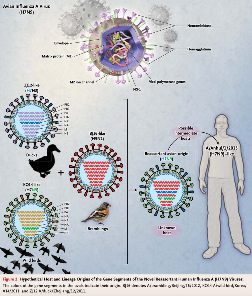 HPAI H7N9 Avian Influenza Detected in Mississippi