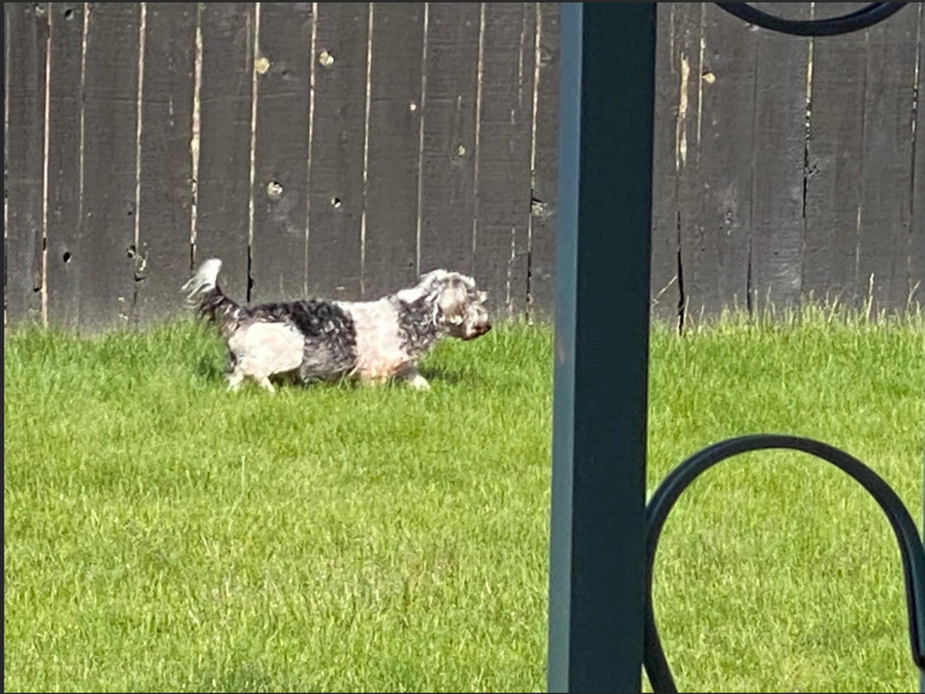 This Really Happened, Part II