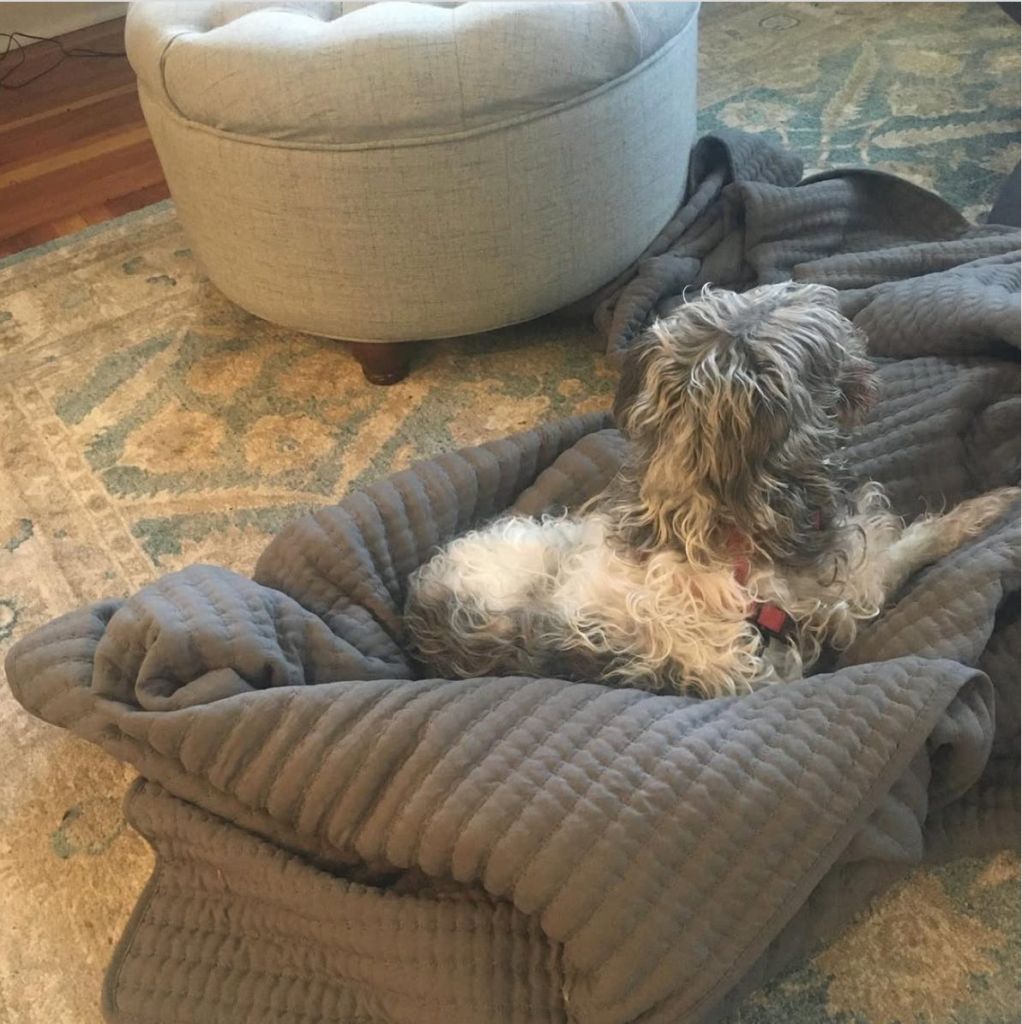 This Really Happened