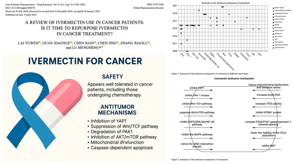 NEW STUDY – Ivermectin Shows Striking Anticancer Potential and Remarkable Safety