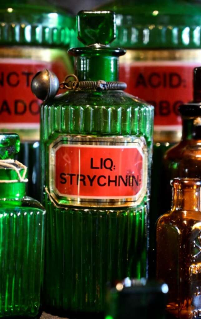 RFK Jr. just made his best hire yet (and that’s saying something)