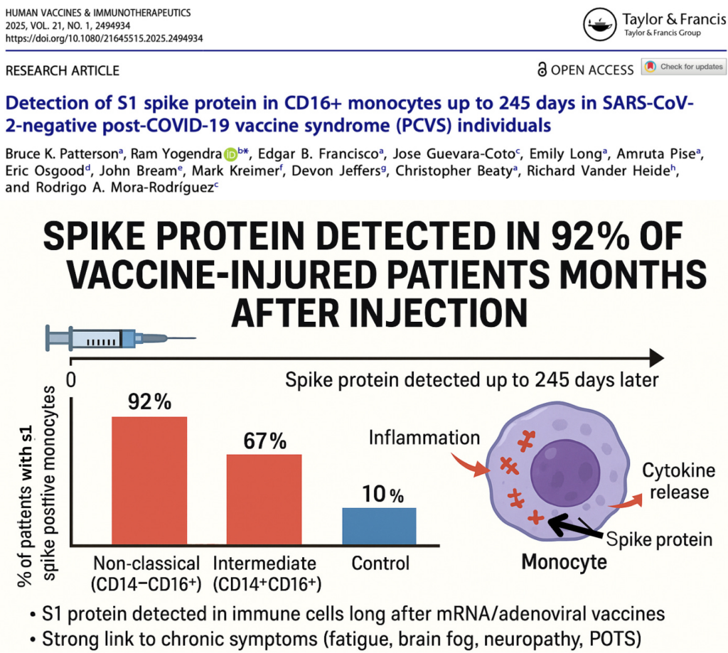 NEW STUDY — Spike Protein Detected in 92% of Vaccine-Injured Patients Up to 245 Days After Injection