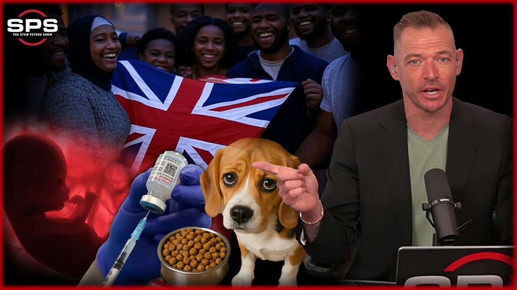 Depopulation Agenda and the War on Fertility: No New Babies by 2050?