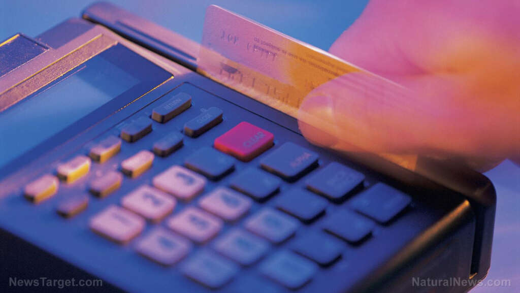 DOGE cancels 500,000 federal credit cards in crackdown on wasteful spending