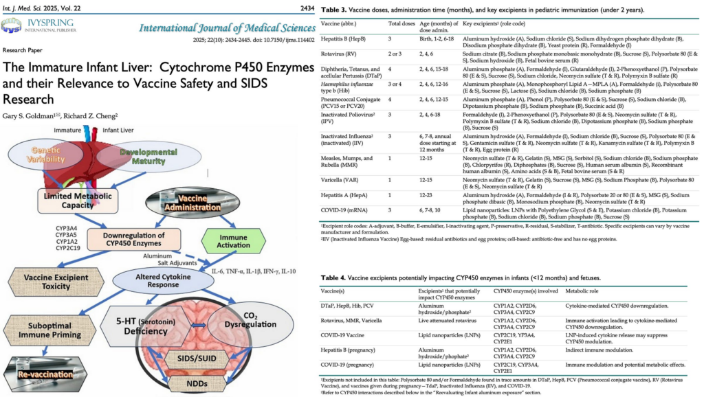 BREAKING: Vaccines May Trigger Sudden Infant Death Syndrome via Brainstem Failure