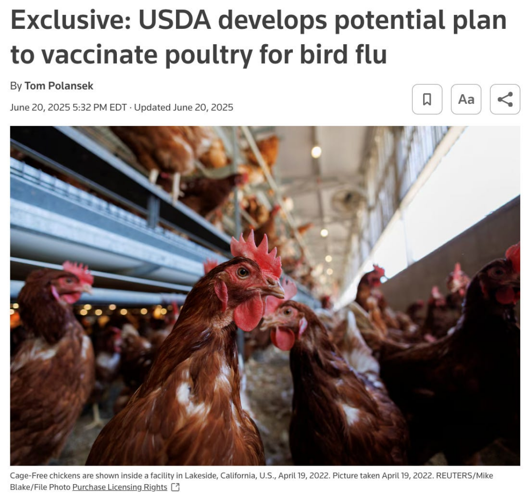 USDA Preparing to Mass Vaccinate Poultry Against Bird Flu — Ignoring Scientific and Public Warnings