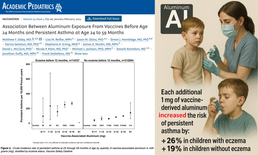 Five Studies Link Aluminum Vaccine Adjuvants to Asthma, Autism, and SIDS