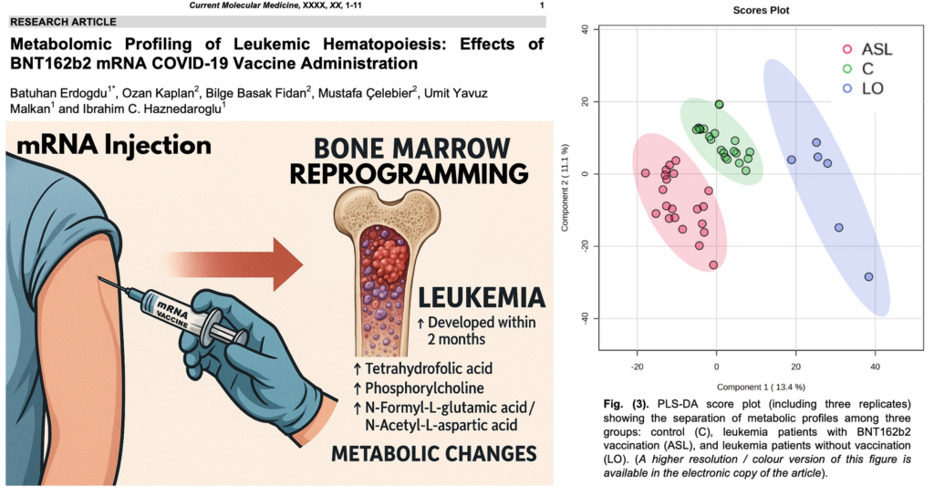 BREAKING: mRNA Shots Induce Cancer-Linked Bone Marrow Reprogramming Within Weeks