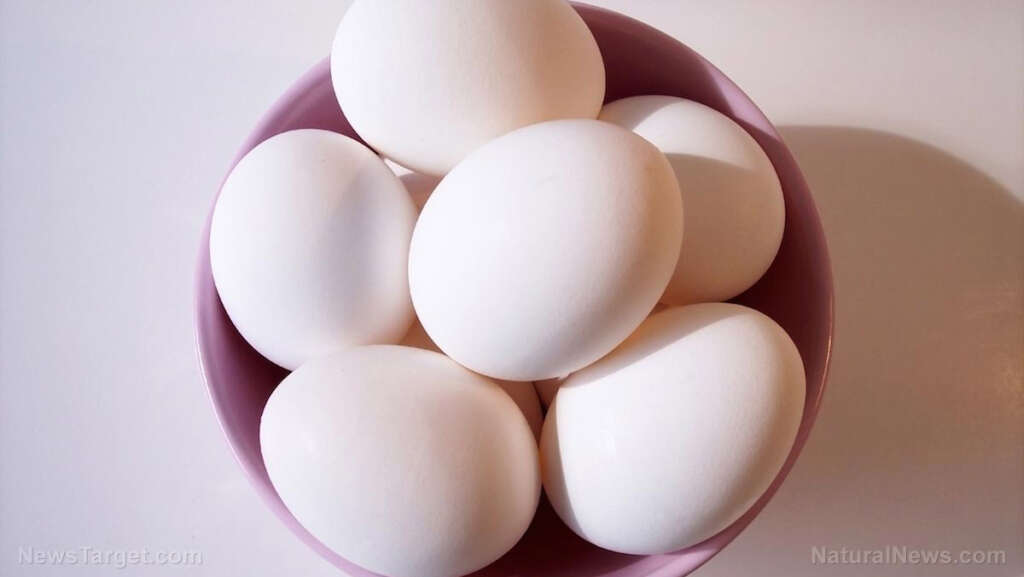 Salmonella outbreak sparks 1.7M egg recall amid persistent food safety concerns
