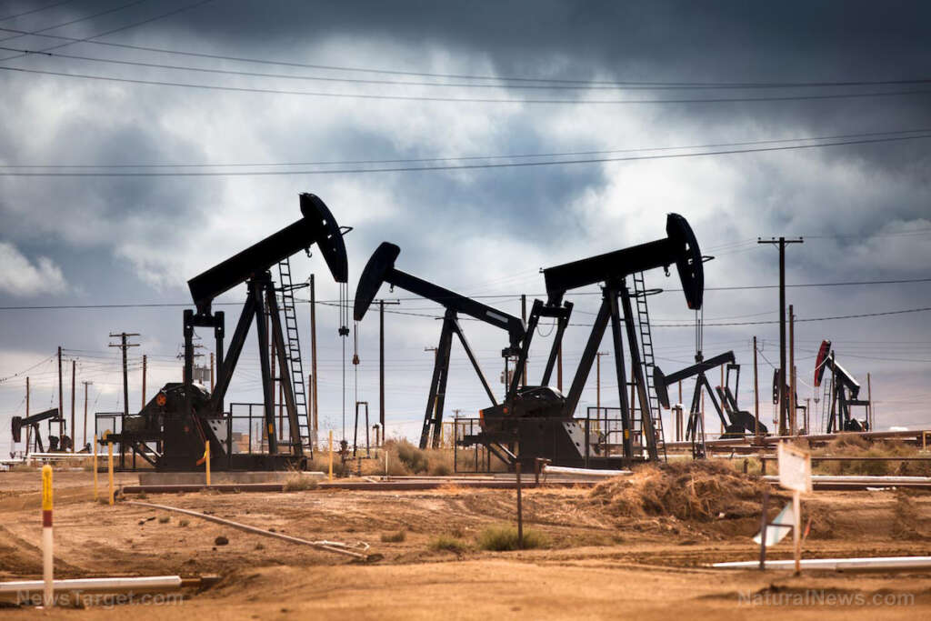 Nuclear disaster looms as IAEA chief warns against strike on Iran’s Bushehr plant amid regional crisis