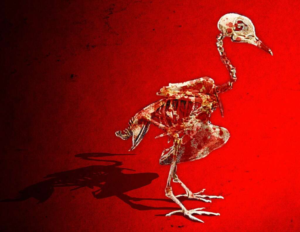 Gaza’s Hunger Games