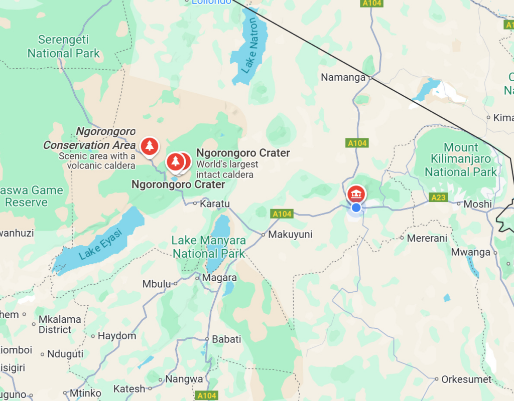 Vigilance Pays Off in Ngorongoro Crater