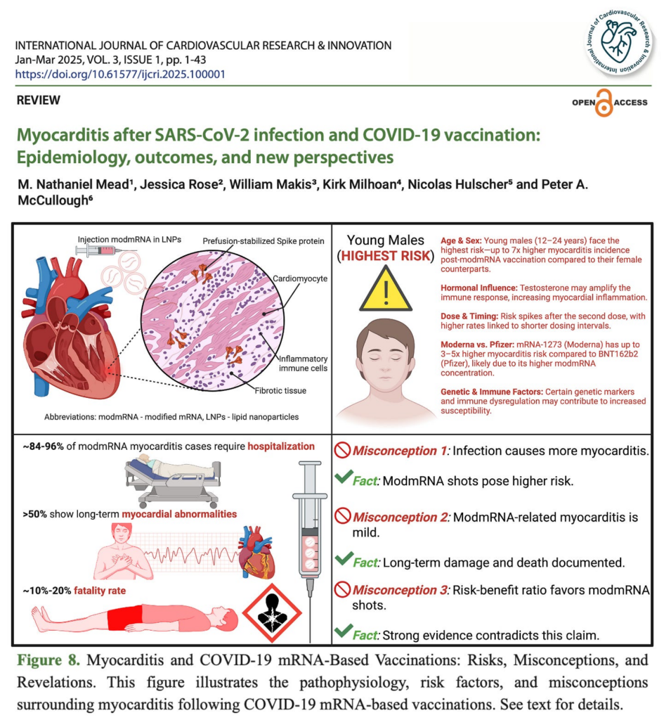 Landmark Analysis Dissolves 3 Major Myths About COVID Vaccine–Induced Myocarditis