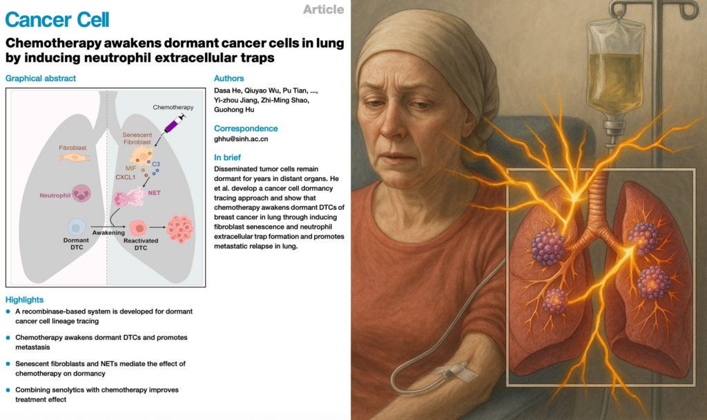 BREAKING: Chemotherapy Reactivates Dormant Cancer Cells — Triggers Metastasis