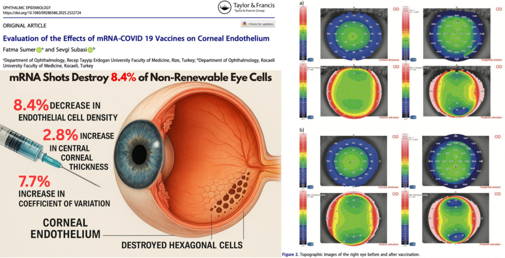 BREAKING: COVID-19 mRNA Shots Destroy 8.4% of Non-Renewable Eye Cells in Just 75 Days