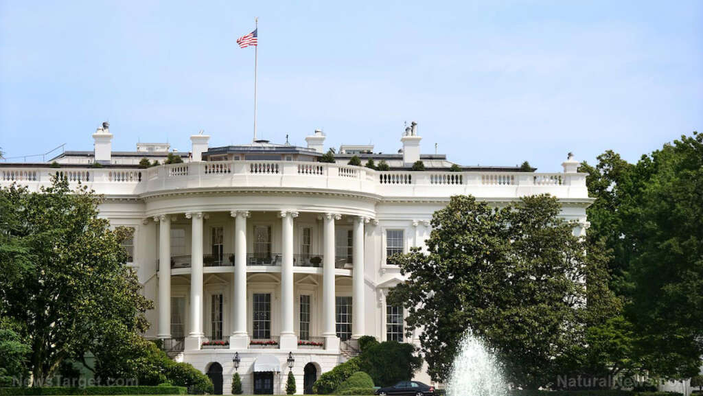 Indonesia caves to US pressure, offers joint investment opportunity for critical minerals