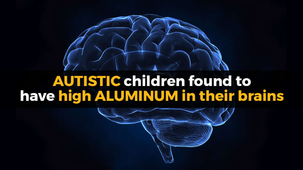 Researchers who tried to bury the aluminum-autism link now face calls to RETRACT their fraudulent study