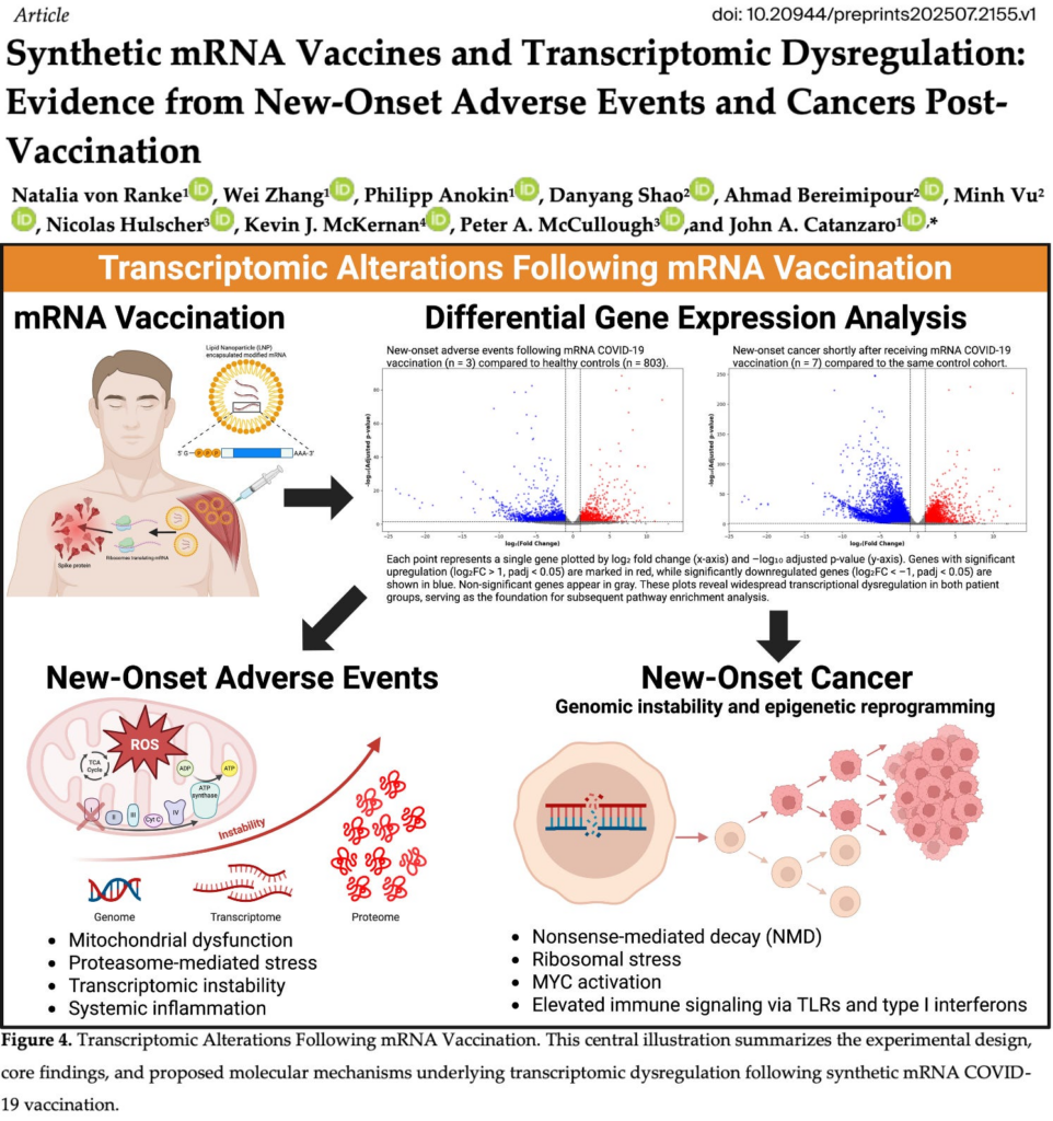 BREAKING STUDY: mRNA Injections Induce Severe, Long-Lasting Genetic Disruption Linked to Cancer and Chronic Disease
