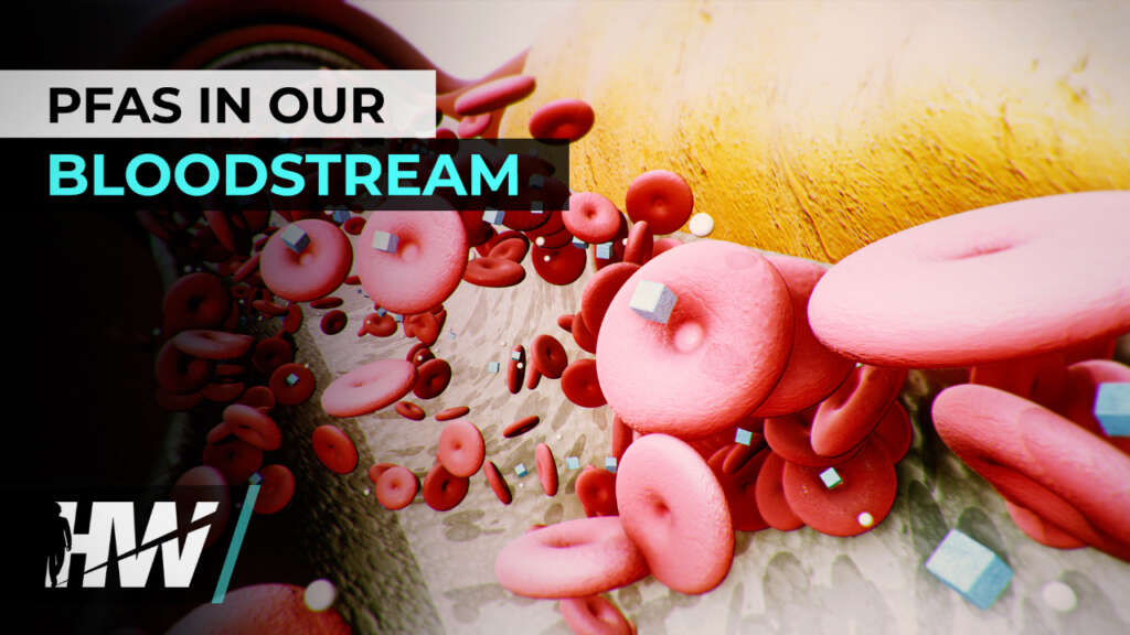 PFAS IN OUR BLOODSTREAM