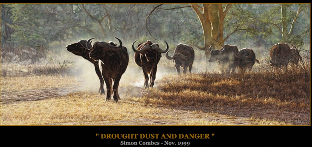 Texan Killed by Cape Buffalo in South Africa