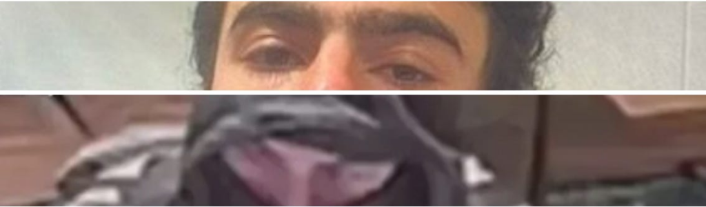 Luigi Mangione: The Joke is On Everyone