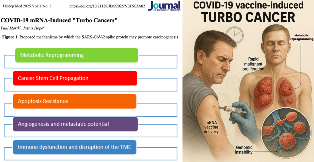 First Peer-Reviewed Paper Defines COVID-19 Vaccine-Induced “Turbo Cancer”