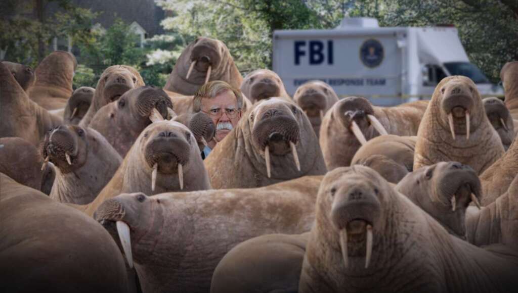 John Bolton Eludes FBI By Blending Into A Herd Of Walruses (Satire)